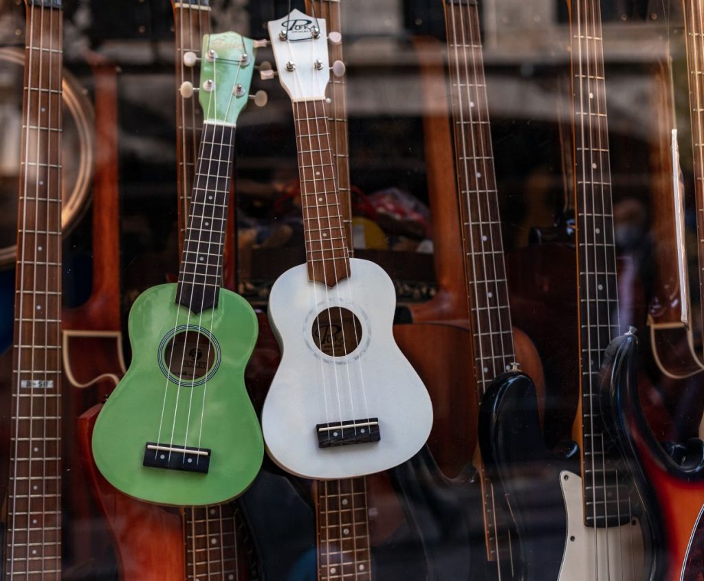 Best Ukulele 2022