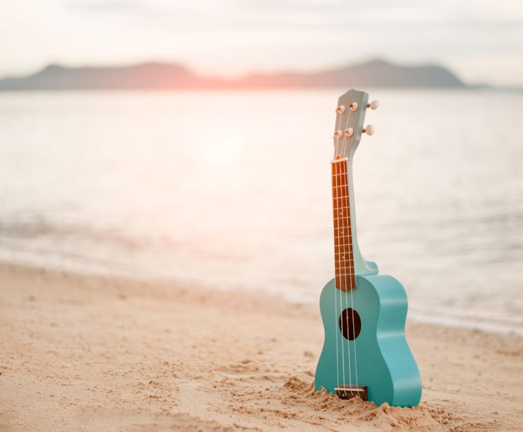 Best Ukulele Brands And Ukuleles