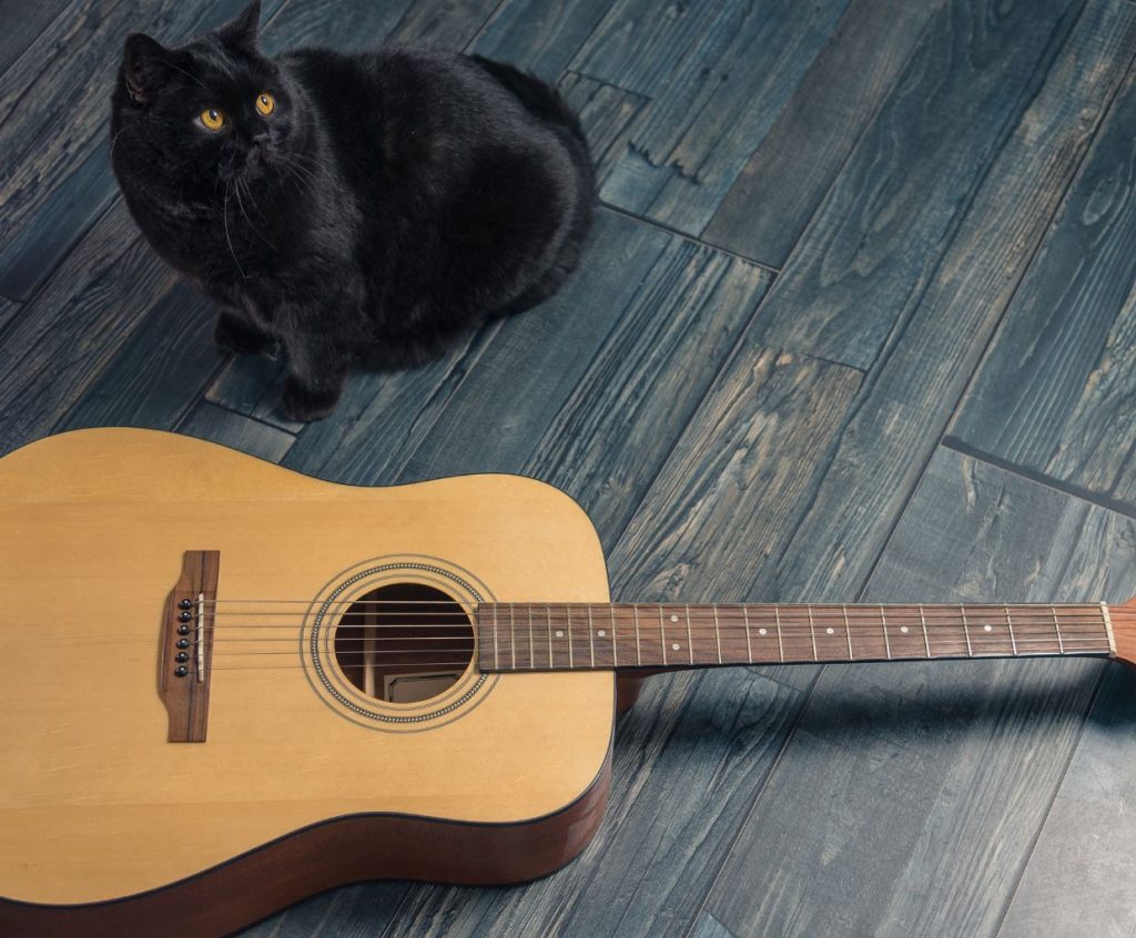 Cordoba C5 Review: