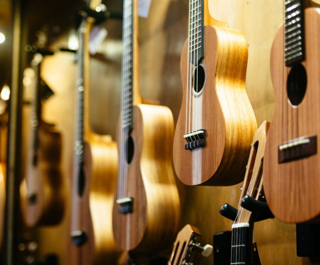 Types Of Guitar Wood