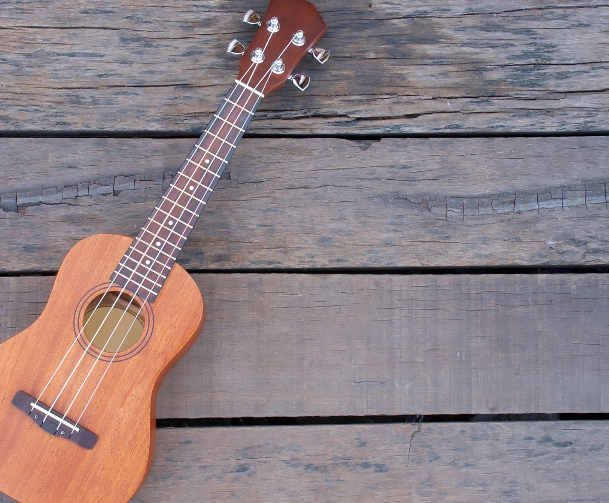 Top 10 Best Ukulele Brands And Ukuleles 2022